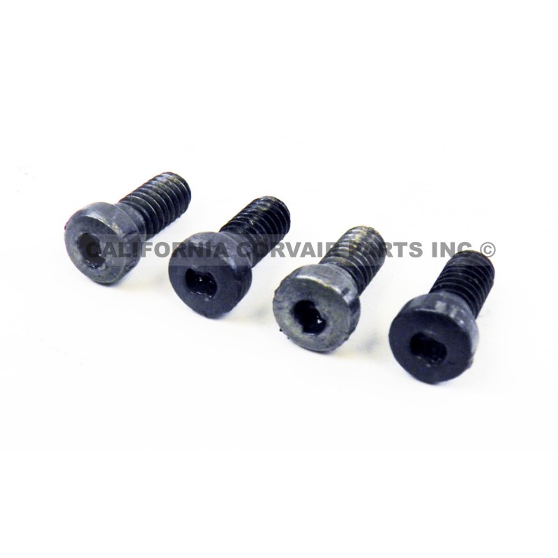 USED SET VALVE BODY PLATE SCREWS