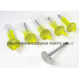NEW SET (6) STAINLESS INTAKE VALVES - 110 HP