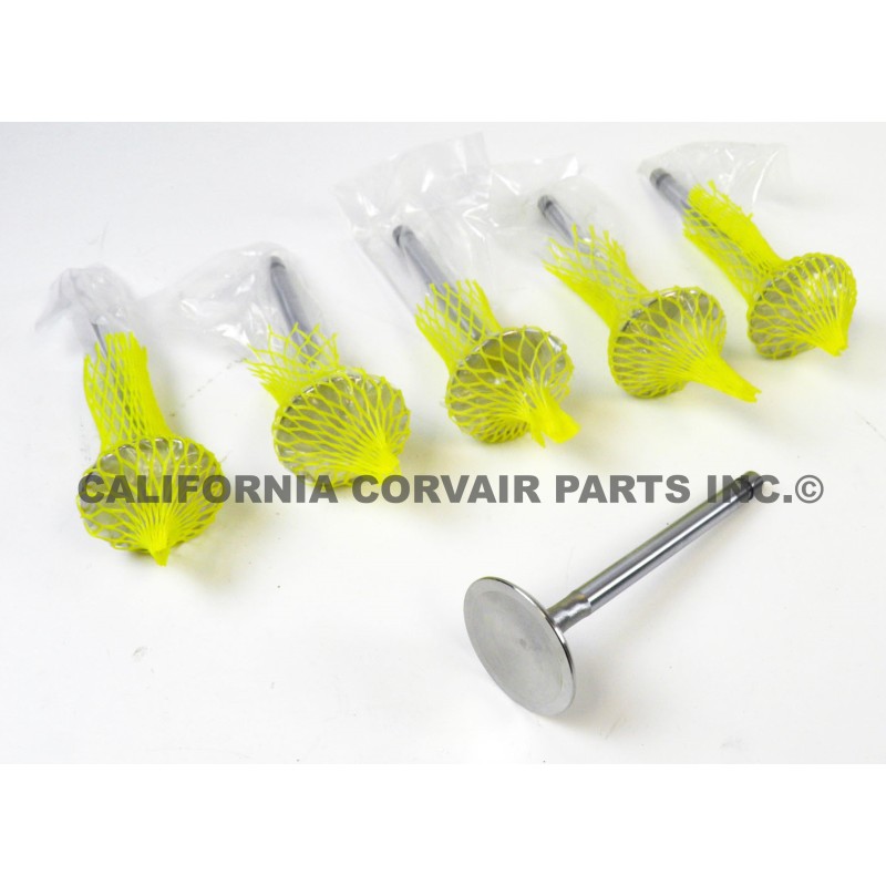 NEW SET (6) STAINLESS INTAKE VALVES - 110 HP