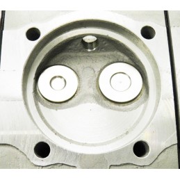 REMANUFACTURED HEADS - 1965 110 HP